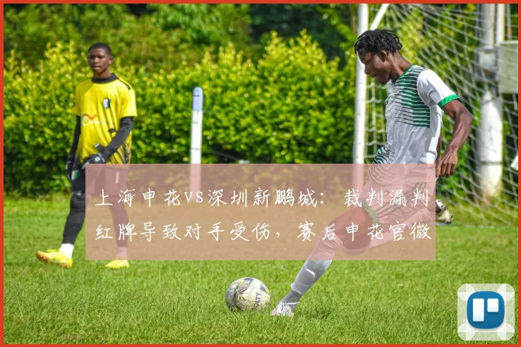 上海申花vs深圳新鹏城：裁判漏判红牌导致对手受伤，赛后申花官微发文质疑